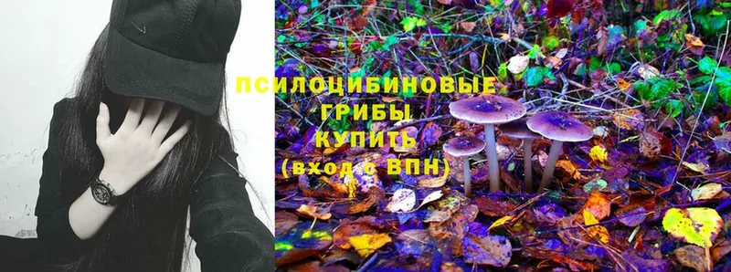 Псилоцибиновые грибы Magic Shrooms Миньяр